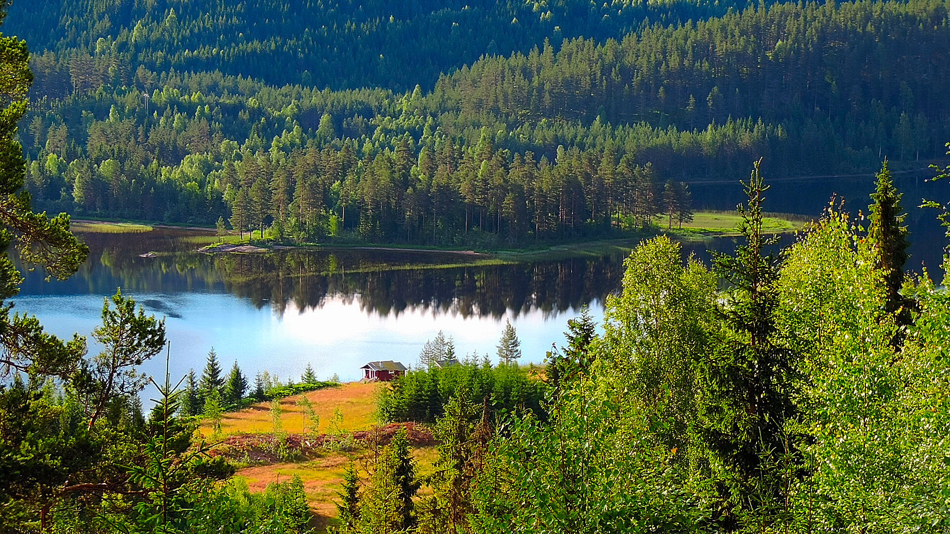 Bli lærling i Sigdal kommune!
